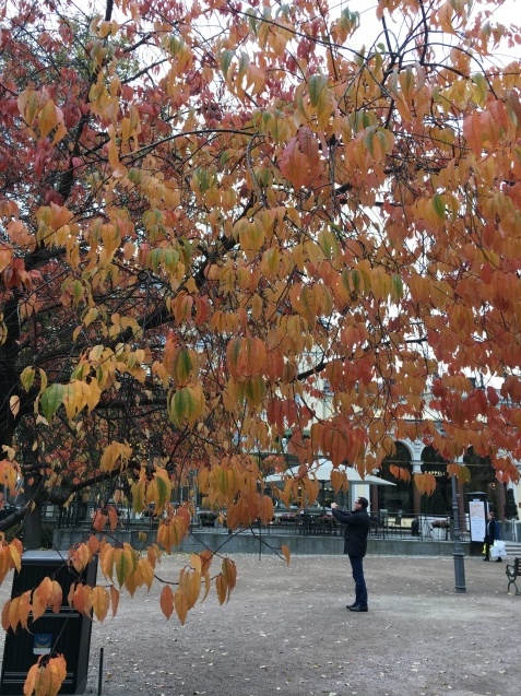 f0143521_03014328.jpg