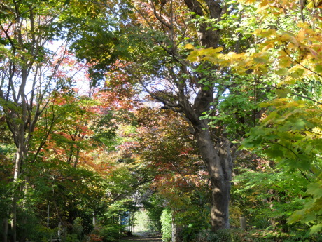 f0362524_16492901.jpg