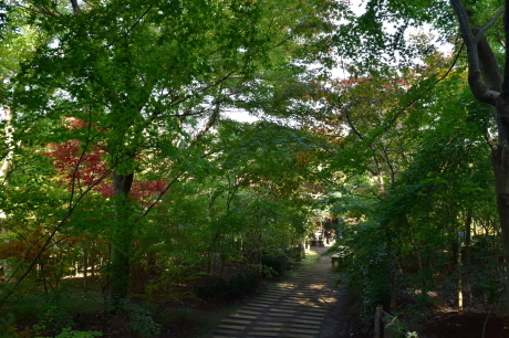 f0362524_16554829.jpg