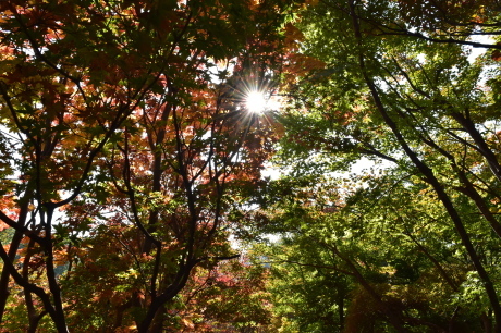 f0362524_16562299.jpg