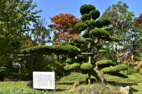 f0362524_16582251.jpg