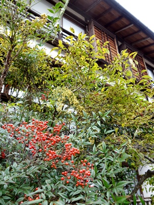 c0204725_1040429.jpg
