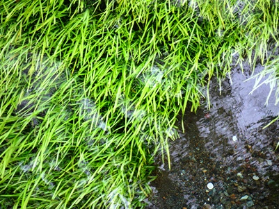 c0204725_1157891.jpg
