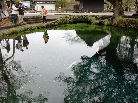 c0204725_1271865.jpg
