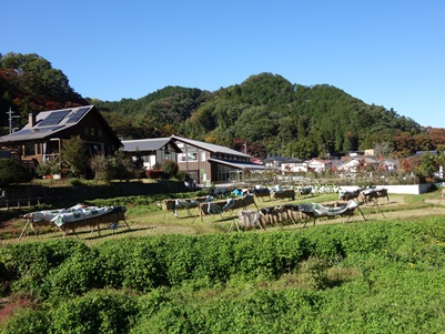 c0204725_9545520.jpg