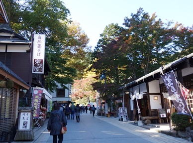 c0204725_9551954.jpg
