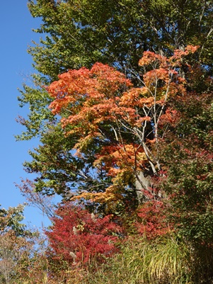 c0204725_9584319.jpg
