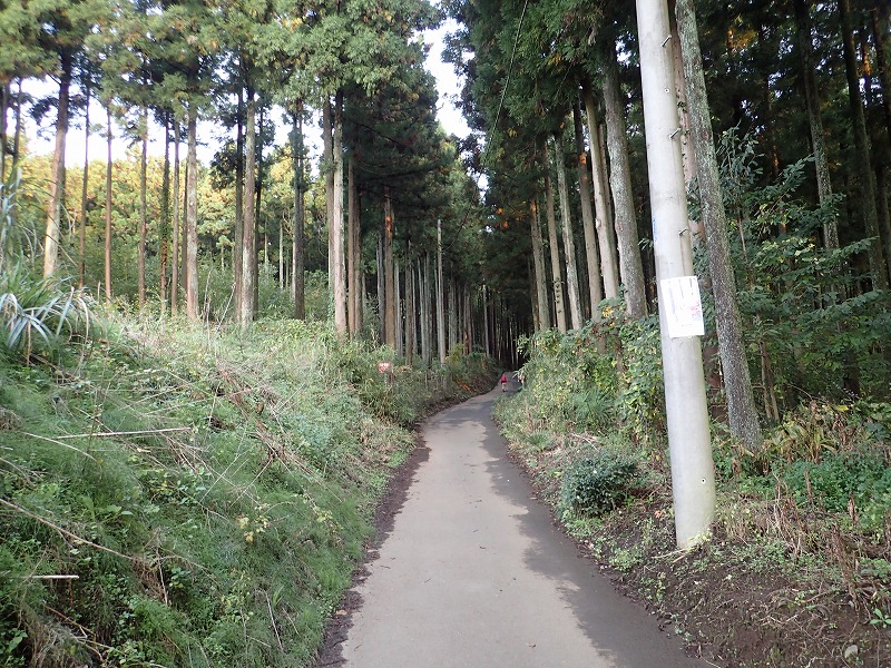 e0284726_6125366.jpg
