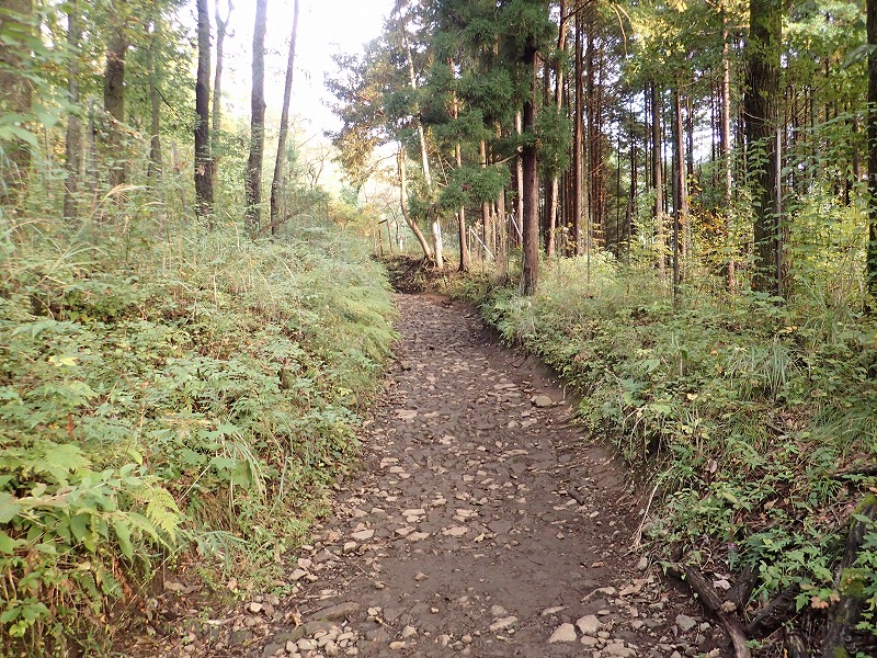 e0284726_613204.jpg