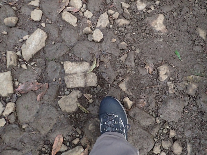 e0284726_6133470.jpg
