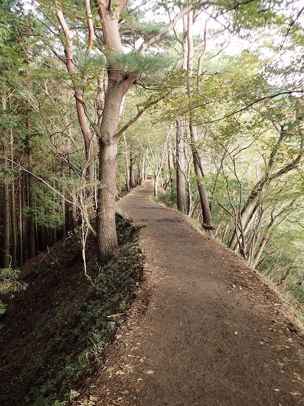 e0284726_6145580.jpg