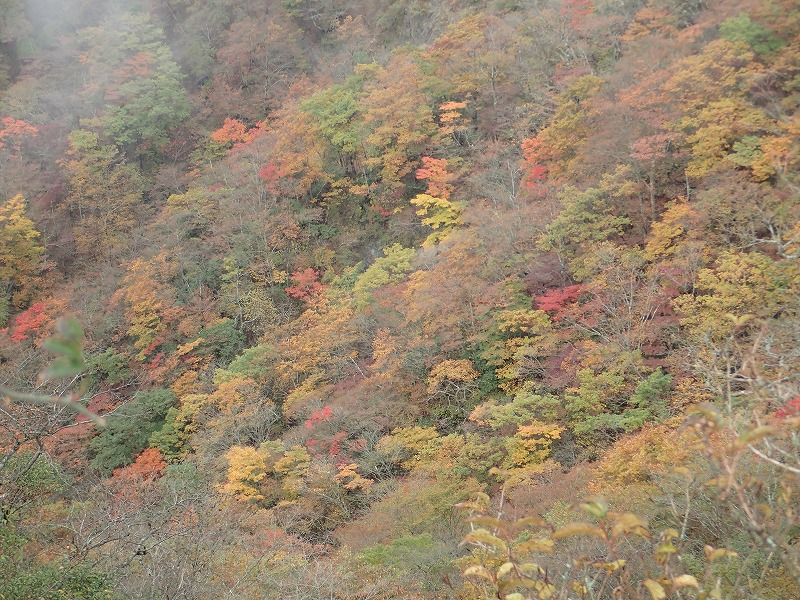 e0284726_616307.jpg