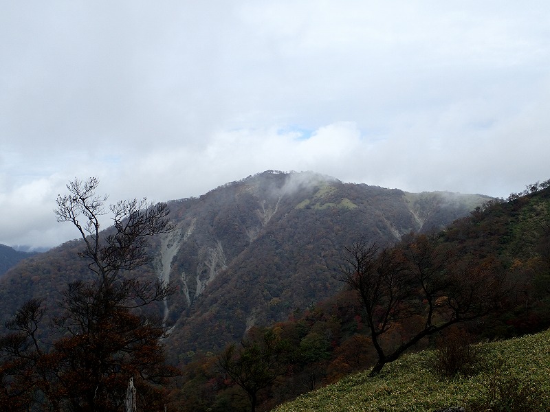e0284726_6362850.jpg