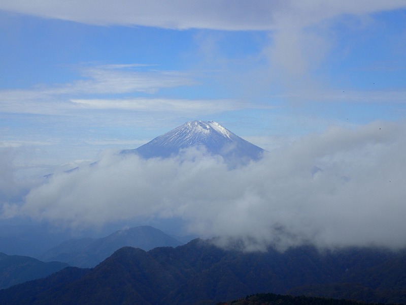 e0284726_6365641.jpg