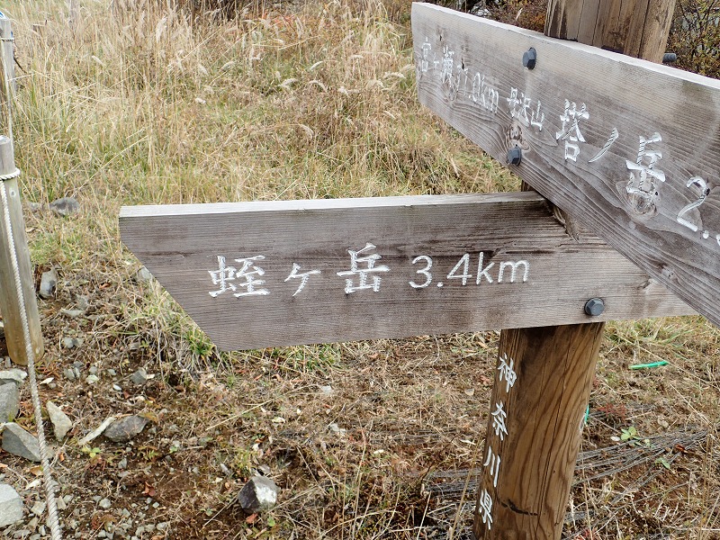 e0284726_6551839.jpg
