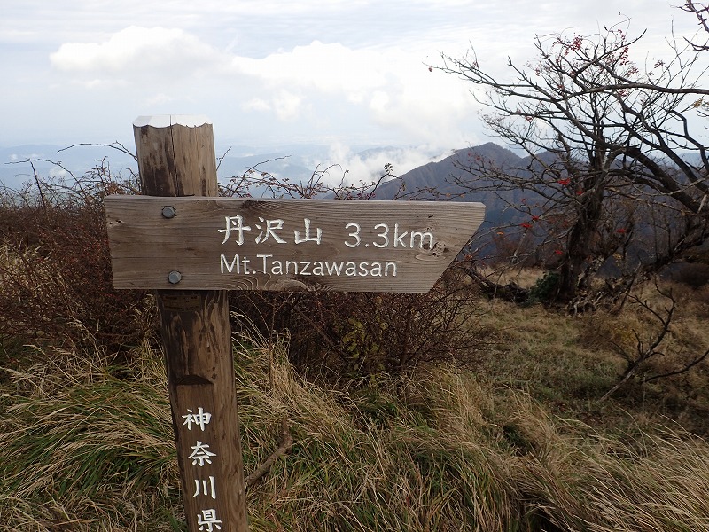 e0284726_701756.jpg