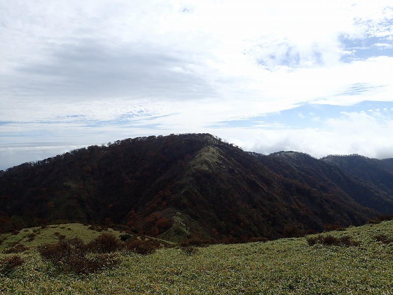 e0284726_755024.jpg