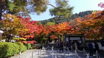 f0054428_0274821.jpg