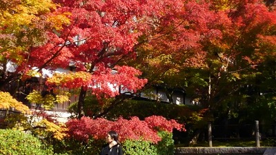 f0054428_0283364.jpg