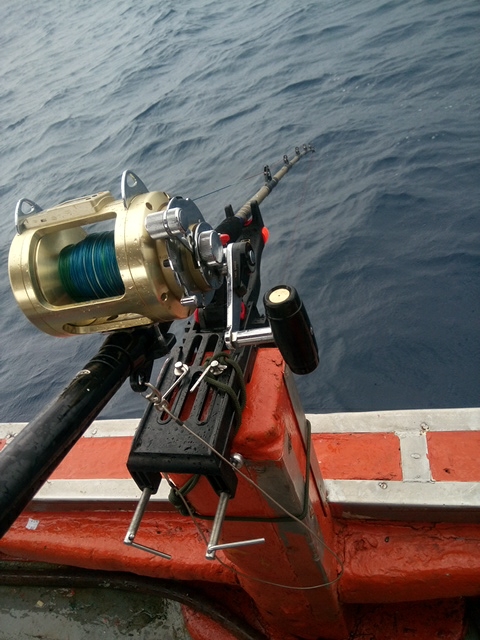 a0083429_16322288.jpg