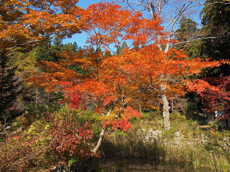 安久津八幡神社→旧高畠駅→亀岡文殊堂へ_b0368629_14303176.jpg