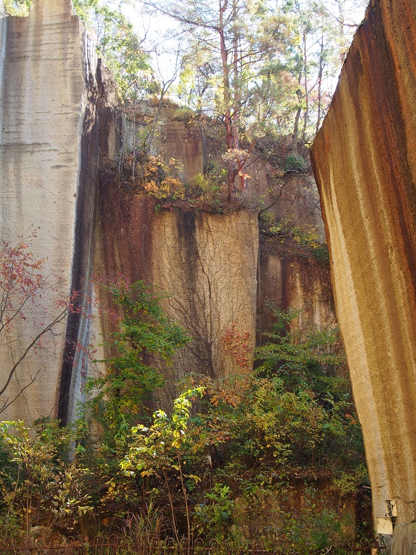 b0368629_1482326.jpg