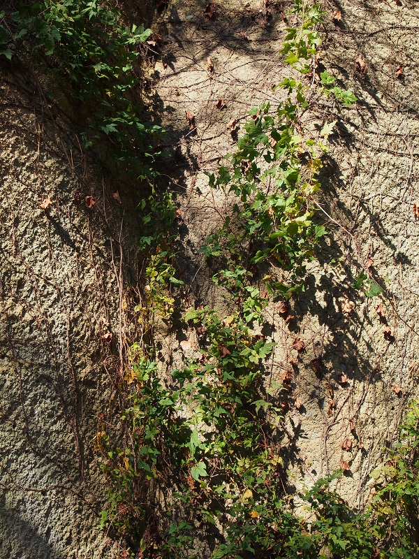 b0368629_1485210.jpg
