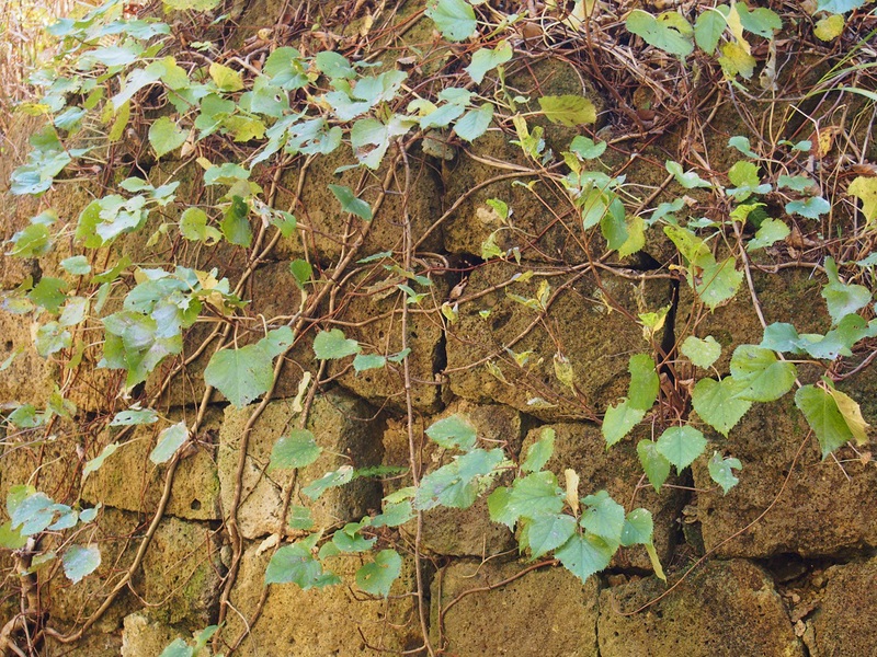 b0368629_149465.jpg