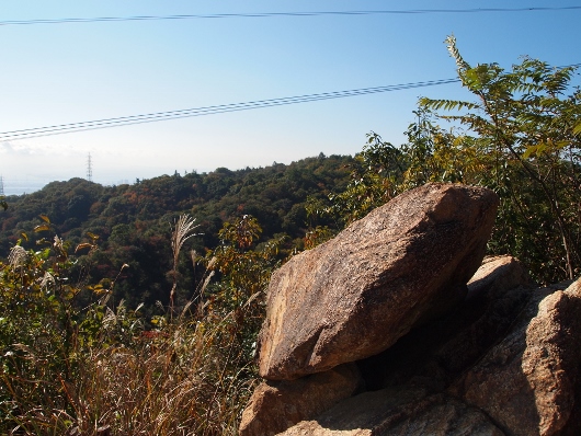 f0013029_18325081.jpg