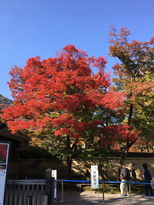 嵐山散策_a0197730_23122286.jpg