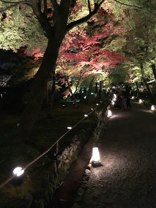 嵐山散策_a0197730_2318076.jpg