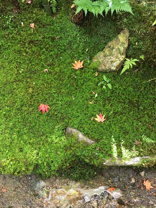 嵐山散策_a0197730_23314322.jpg