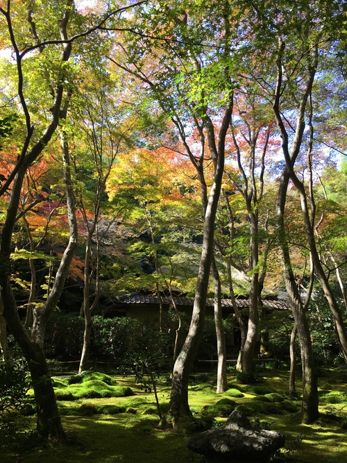 嵐山散策_a0197730_23315186.jpg