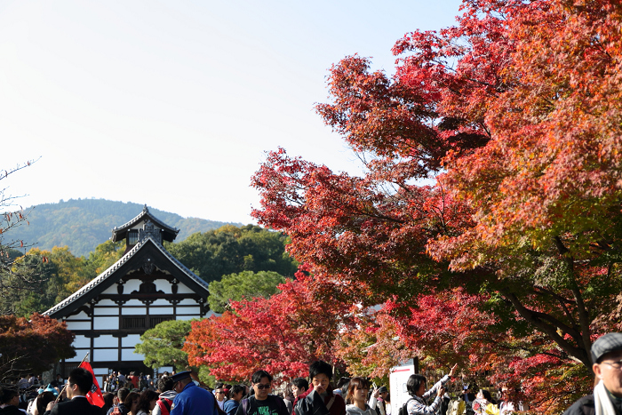 紅葉の京都2016 －お坊様とめぐる秋の天龍寺（天龍寺）－_b0169330_8155333.jpg