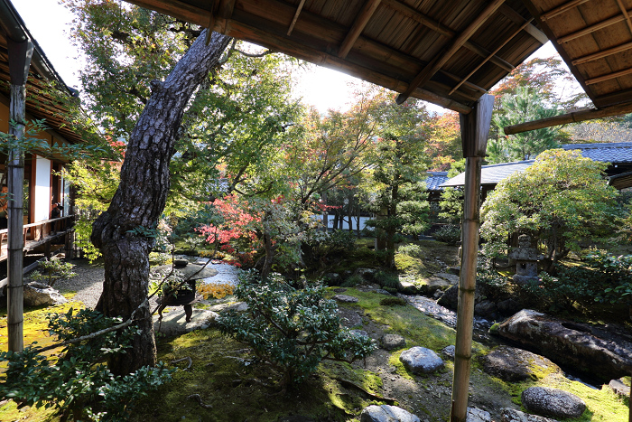 紅葉の京都2016 －お坊様とめぐる秋の天龍寺（天龍寺）－_b0169330_8295958.jpg