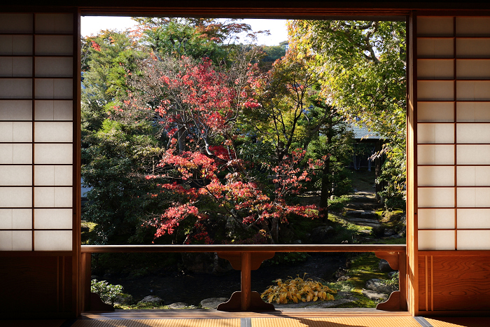 紅葉の京都2016 －お坊様とめぐる秋の天龍寺（天龍寺）－_b0169330_8302853.jpg