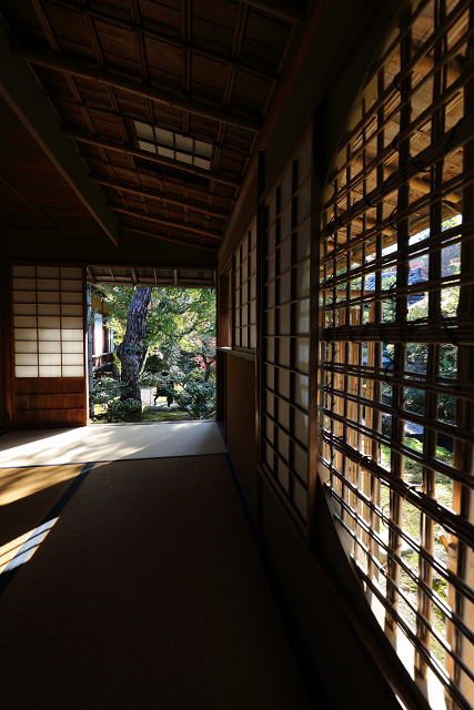 紅葉の京都2016 －お坊様とめぐる秋の天龍寺（天龍寺）－_b0169330_8304783.jpg