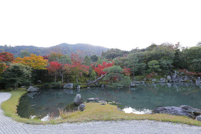 紅葉の京都2016 －お坊様とめぐる秋の天龍寺（天龍寺）－_b0169330_8455029.jpg