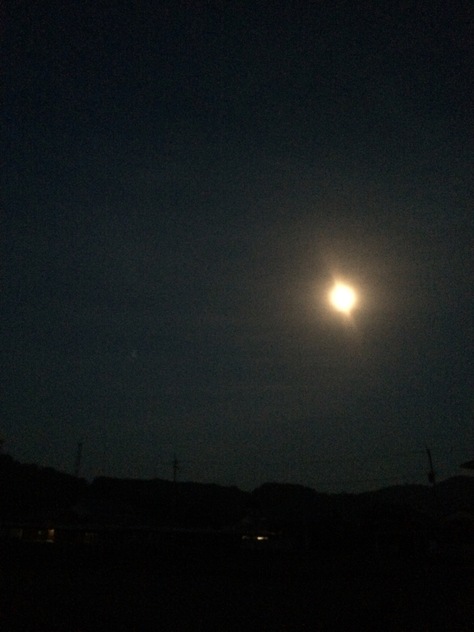 c0077330_1463168.jpg