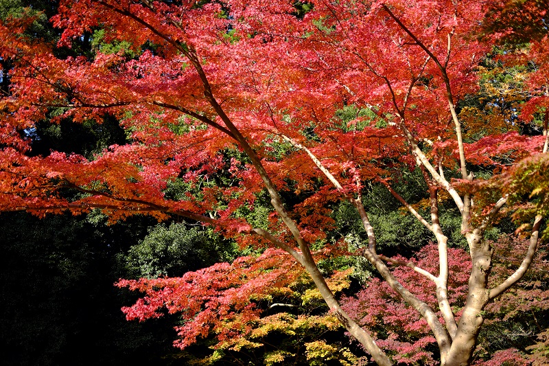 b0230131_1453281.jpg