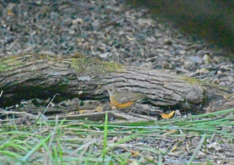 a0126632_1523148.jpg