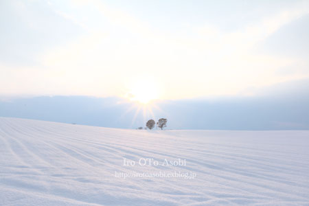 d0300034_19571683.jpg