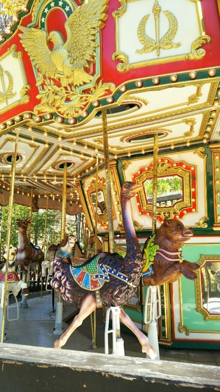 e0305834_22394142.jpg