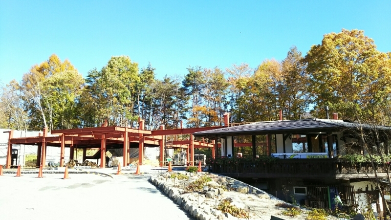 e0305834_22462560.jpg