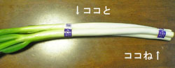 e0360834_01154909.jpg