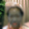 e0360834_01181195.jpg