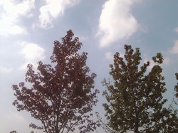 e0360834_01205114.jpg