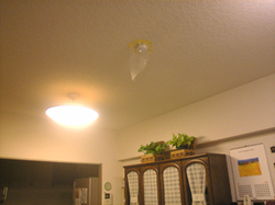 e0360834_01205534.jpg