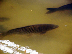 e0360834_01220348.jpg