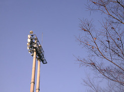 e0360834_01230871.jpg